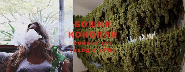стаф Белокуриха