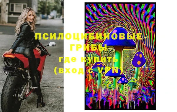 марки nbome Богданович