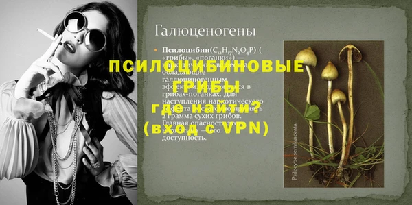 стафф Богородицк